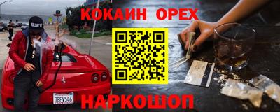 крисы Можга