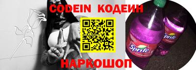 крисы Можга