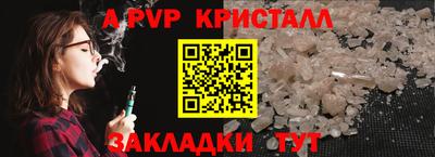 крисы Можга