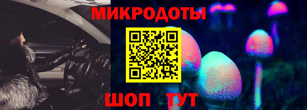 Псилоцибиновые грибы ЛСД Сланцы